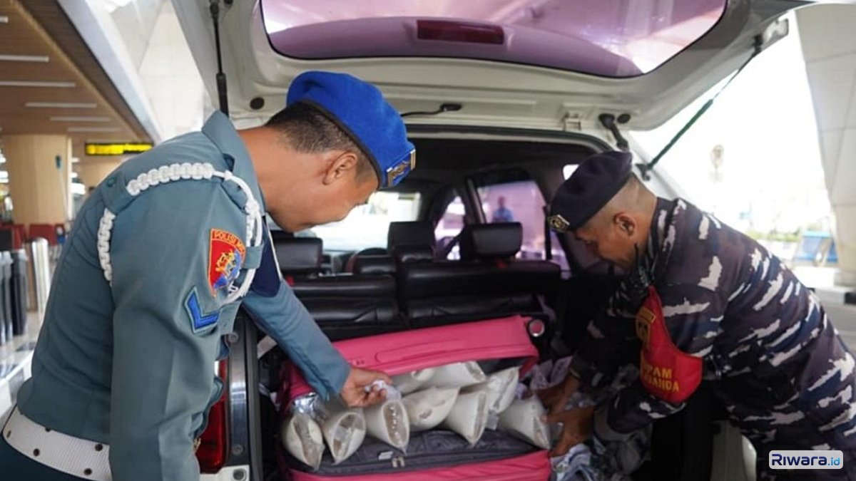 Petugas TNI AL menggagalkan penyelundupan benih lobster BBL senilai Rp61 miliar tujuan Singapura di Bandara Juanda Surabaya